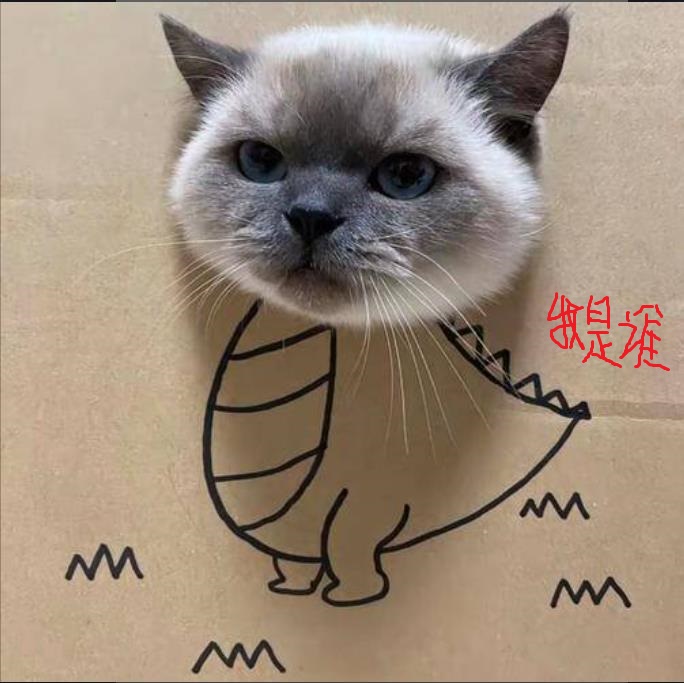 360截图20250731144235815.jpg