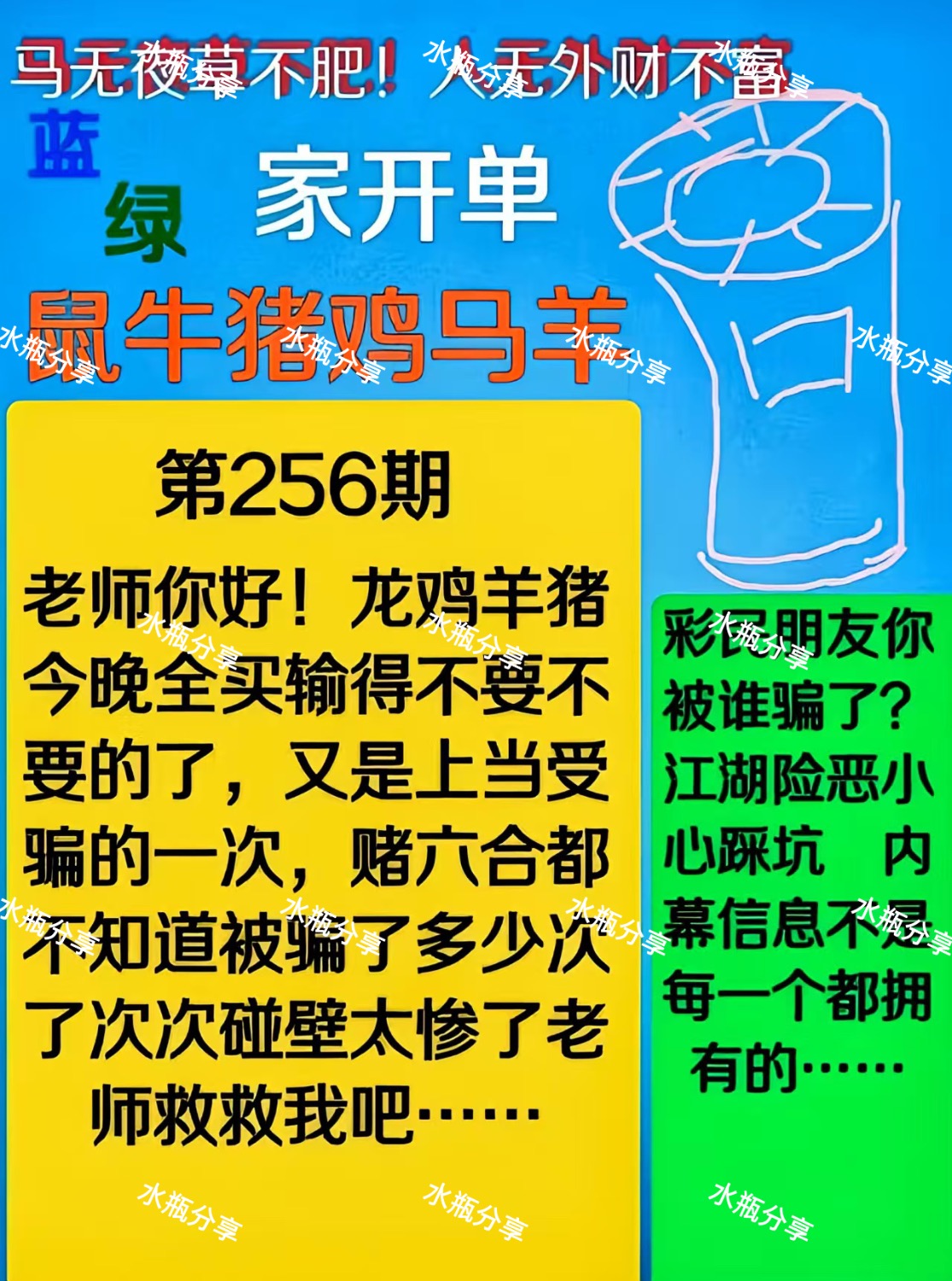 IMG_4455.jpeg
