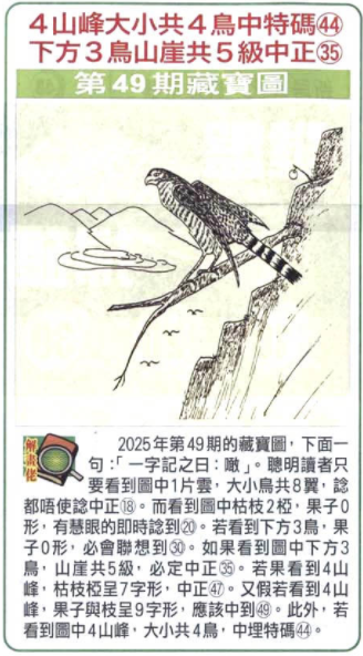 2025-049.png