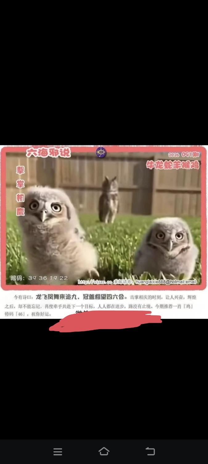 Screenshot_20260820_190415.jpg