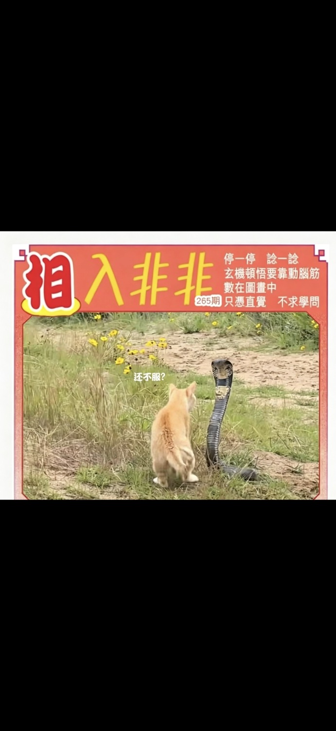Screenshot_2026-09-22-14-26-18-322_com.miui.gallery.jpg
