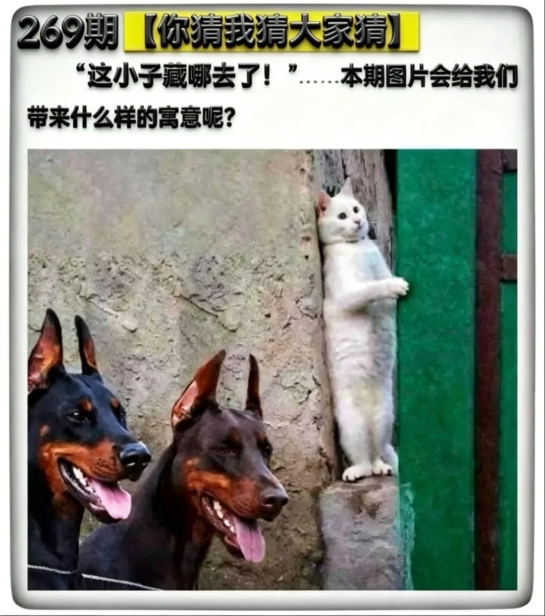 Screenshot_20260926_184441.jpg